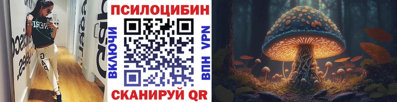 Псилоцибиновые грибы мухоморы  Малая Вишера 