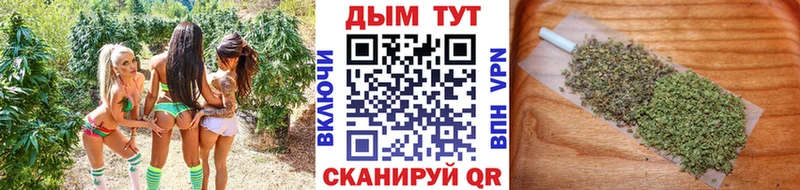 Марихуана Amnesia  Малая Вишера 